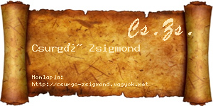 Csurgó Zsigmond névjegykártya
