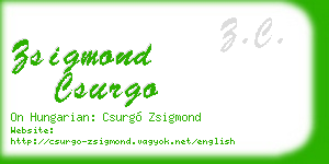zsigmond csurgo business card
